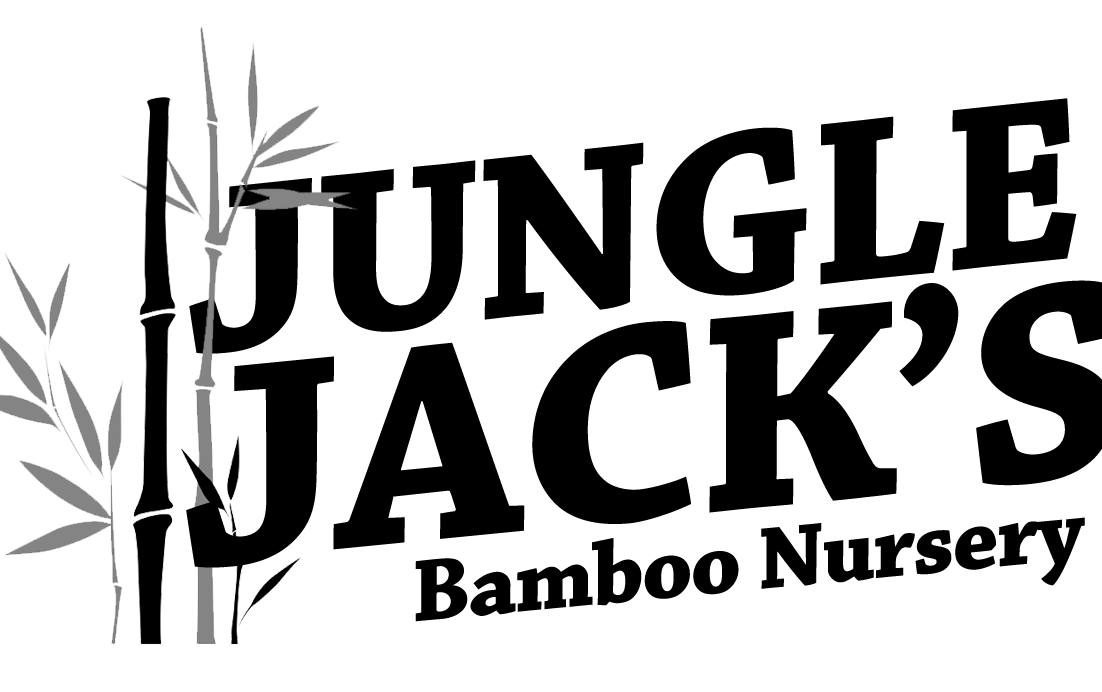 junglejacksbamboo.com